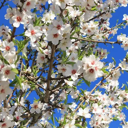 Feriehus Casinha Dos Avos